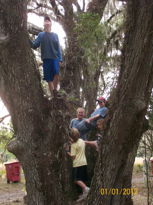 2012-Jan-02HGR4X4Croom 108